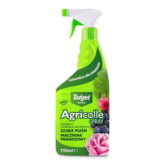 AGRICOLLE SPRAY taimehoolduseks KÖÖGIVILJAD JA LILLED (haiguste vastu) 750ml hind ja info | Hooldusvahendid taimedele | kaup24.ee