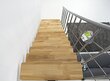 Moodul trepp Comfort Top Minka, Hõbe / Pöök. Komplekti kõrgus: 312 cm цена и информация | Trepid | kaup24.ee