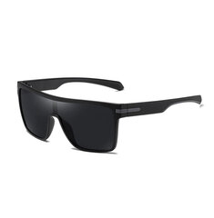 Поляризованные солнцезащитные очки для мужчин C1 цена и информация | Солнцезащитные очки для мужчин | kaup24.ee