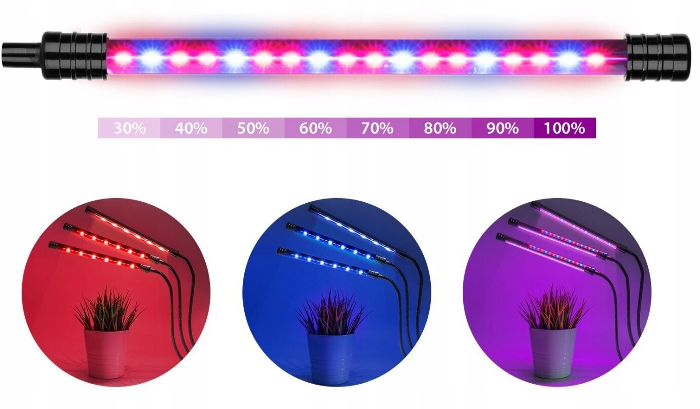 Taimekasvatuse LED-lampide komplekt koos 150 cm statiivi ja taimeriga, 4 tk hind ja info | Nutipotid ja taimelambid | kaup24.ee