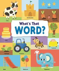 What's That Word?: 120 Wonderful Words цена и информация | Книги для малышей | kaup24.ee