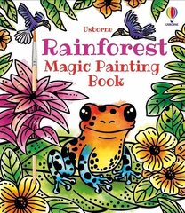 Rainforest Magic Painting Book цена и информация | Книги для малышей | kaup24.ee