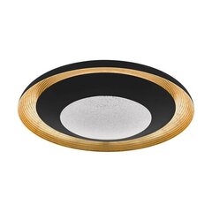 Потолочный светильник Canicosa 2 от бренда Eglo цена и информация | Потолочные светильники | kaup24.ee