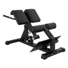 Тренировочная скамья Gymstick Back Bench Pro цена и информация | Тренировочные скамьи | kaup24.ee