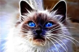Алмазная мозаика - кошачья магия цена и информация | Алмазная мозаика | kaup24.ee