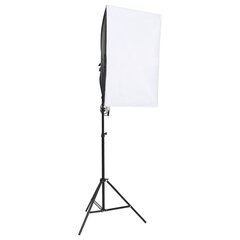 vidaXL professionaalne stuudiovalgusti 2 tk, 40 x 60 cm hind ja info | Fotovalgustuse seadmed | kaup24.ee