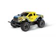 RC-auto Ford Raptor F-150 2.4GHz hind ja info | Poiste mänguasjad | kaup24.ee