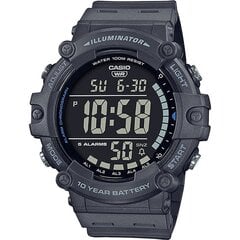Мужские часы Casio AE-1500WH-8BVEF цена и информация | Мужские часы | kaup24.ee