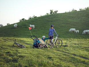 Laste jalgrattakäru Chariot Jog Kit 2 - Lite/Cross hind ja info | Jalgrattakärud | kaup24.ee