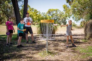 Портативная игра на открытом воздухе DiscGolfPark Pro Target цена и информация | Уличные игры | kaup24.ee