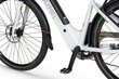 Elektrijalgratas Ecobike X-Cross 14,5 Ah Greenway, valge цена и информация | Elektrirattad | kaup24.ee