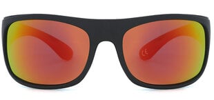 Солнцезащитные очки Label L1566 Polarized цена и информация | Солнцезащитные очки для мужчин | kaup24.ee