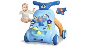 Толкатель-ходунки для младенцев цена и информация | Игрушки для малышей | kaup24.ee