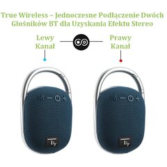 Bluetooth 5.3 Wireless Techly 5W Tws LED USB / TF MP3 цена и информация | Аудио колонки | kaup24.ee