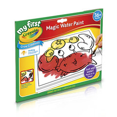 Joonistustahvel Crayola Magic Water hind ja info | Arendavad mänguasjad | kaup24.ee