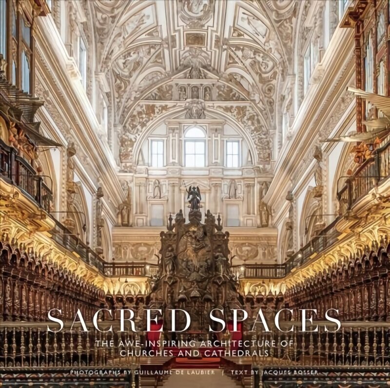 Sacred Spaces: The Awe-Inspiring Architecture of Churches and Cathedrals hind ja info | Arhitektuuriraamatud | kaup24.ee