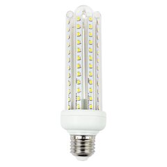 LED pirn E27 T3 30W 4000K цена и информация | Лампочки | kaup24.ee