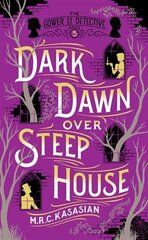 Dark Dawn Over Steep House цена и информация | Фантастика, фэнтези | kaup24.ee