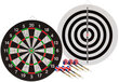 Noolemäng Dartboard • Flock II • hind ja info | Noolemängud | kaup24.ee