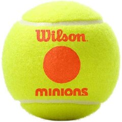 Välitennisepallid Wilson Starter Orange Minions 3 tk. цена и информация | Товары для большого тенниса | kaup24.ee