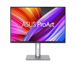 Asus ProArt PA248CRV цена и информация | Мониторы | kaup24.ee