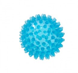 Massaažipall Spiky Reflexball, 6cm цена и информация | Аксессуары для массажа | kaup24.ee