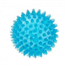 Massaažipall Spiky Gymnic Reflexball, 9 cm цена и информация | Аксессуары для массажа | kaup24.ee