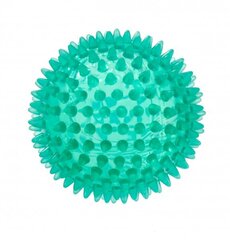 Massaažipall Spiky Reflexball, 10 cm цена и информация | Аксессуары для массажа | kaup24.ee