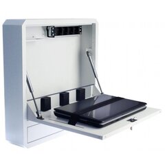 Навесной шкаф безопасности для компьютера Techly 19" белый цена и информация | Компьютерные сумки | kaup24.ee