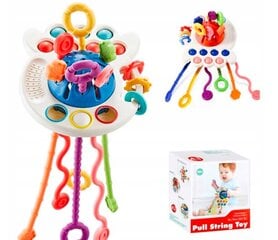 Laste multifunktsionaalne mänguasi Pull String Toy цена и информация | Игрушки для малышей | kaup24.ee