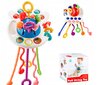 Laste multifunktsionaalne mänguasi Pull String Toy hind ja info | Imikute mänguasjad | kaup24.ee