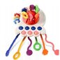 Laste multifunktsionaalne mänguasi Pull String Toy hind ja info | Imikute mänguasjad | kaup24.ee