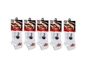 Комплект мужских носков (5 пар), размеры 39-42 цена и информация | Мужские носки | kaup24.ee