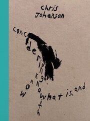 Chris Johanson: Considering Unknow Know with What Is, and цена и информация | Книги об искусстве | kaup24.ee
