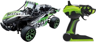 Автомобиль на радиоуправлении Buggy Extreme D5, зеленый цена и информация | Игрушки для мальчиков | kaup24.ee