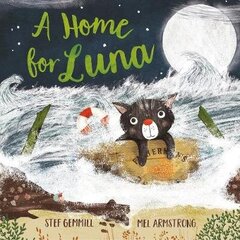 Home for Luna цена и информация | Книги для малышей | kaup24.ee