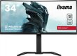 Monitor Iiyama GB3467WQSU-B5 hind ja info | Monitorid | kaup24.ee