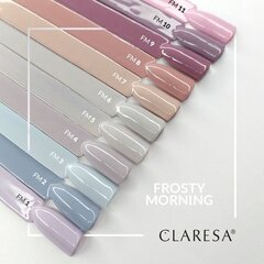 Стойкий гибридный гель лак для ногтей CLARESA Frosty Morning 8, 5 г цена и информация | Лаки для ногтей, укрепители для ногтей | kaup24.ee