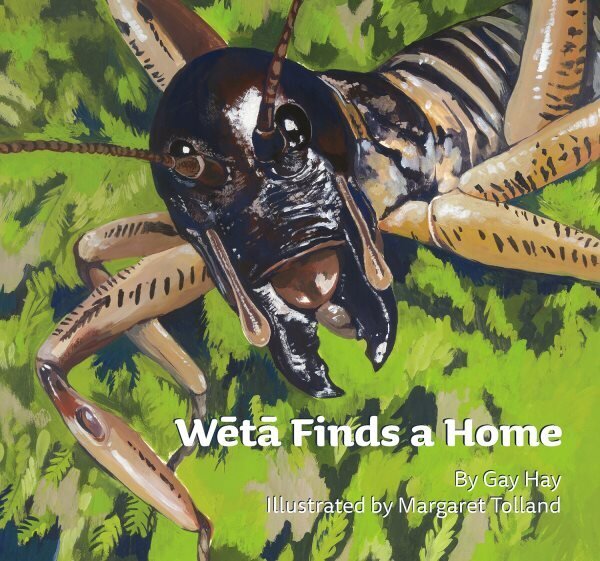 Weta Finds a Home hind ja info | Väikelaste raamatud | kaup24.ee