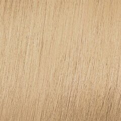 Краска для волос Mood Color Cream 10 Platinum Blonde, 100 мл. цена и информация | Краска для волос | kaup24.ee