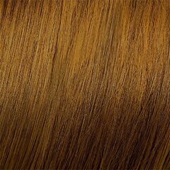 Краска для волос Mood Color Cream 6.3 Dark Golden Blonde, 100 мл цена и информация | Краска для волос | kaup24.ee