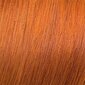 Juuksevärv Mood Color Cream 8.43 Light Copper Gold Blonde, 100 ml. hind ja info | Juuksevärvid | kaup24.ee