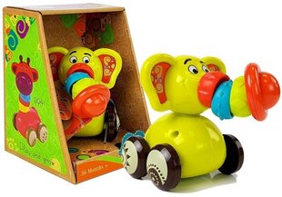 Lasteauto - trompetiga elevant, roheline hind ja info | Imikute mänguasjad | kaup24.ee