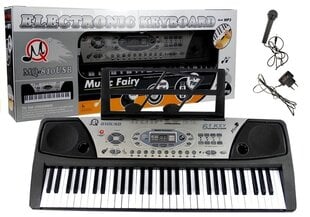 Klaver MQ-810 MP3 mikrofoniga, 61 klahvi цена и информация | Развивающие игрушки | kaup24.ee