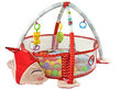 Tegevusmatt beebile - pallidega bassein hind ja info | Imikute mänguasjad | kaup24.ee