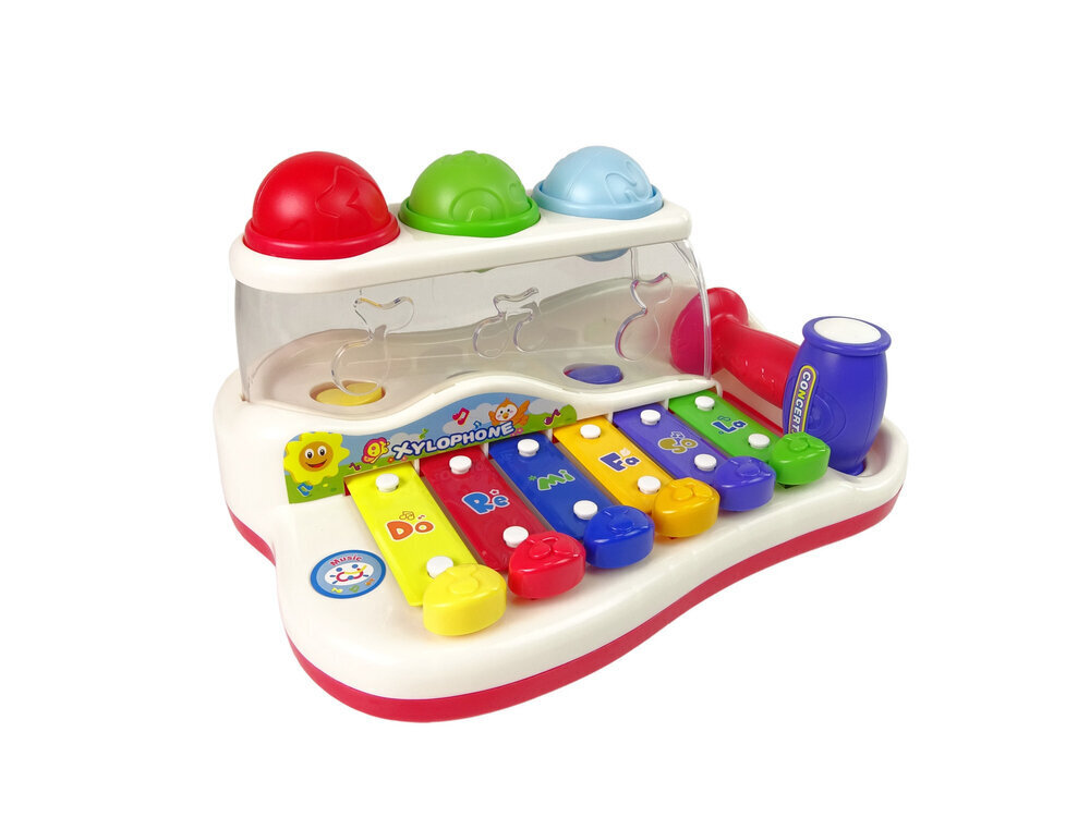 Laste ksülofon hind ja info | Imikute mänguasjad | kaup24.ee