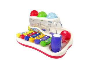 Детский ксилофон цена и информация | Игрушки для малышей | kaup24.ee