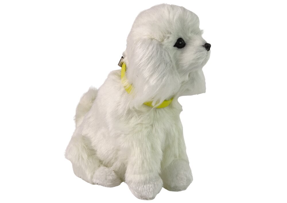 Interaktiivne plüüsi koer "Puudle", valge цена и информация | Pehmed mänguasjad | kaup24.ee