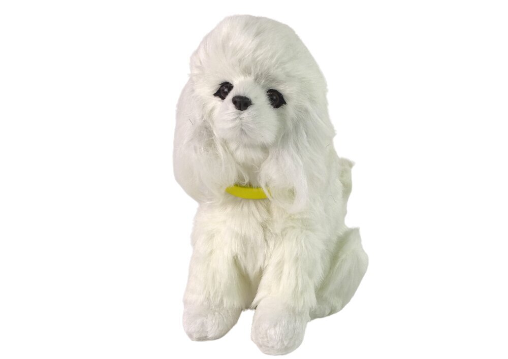 Interaktiivne plüüsi koer "Puudle", valge цена и информация | Pehmed mänguasjad | kaup24.ee