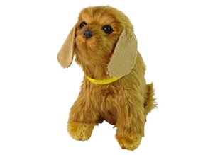 Интерактивная плюшевая собака ,,Кокер-спаниель'', коричневая цена и информация | Мягкие игрушки | kaup24.ee